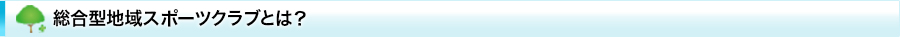総合型地域スポーツクラブとは?